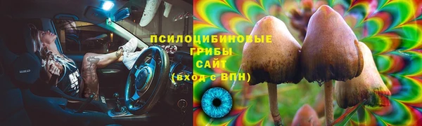 бошки Пестово