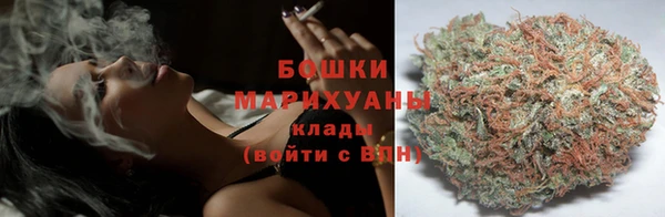 трава Абаза