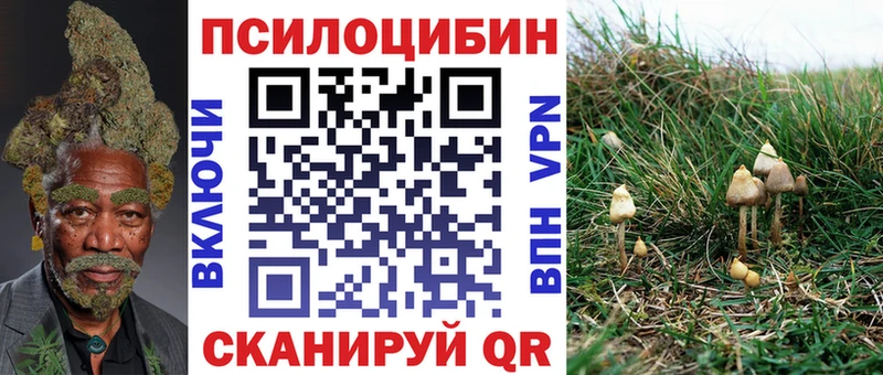хочу наркоту  Каменск-Шахтинский  Галлюциногенные грибы прущие грибы 